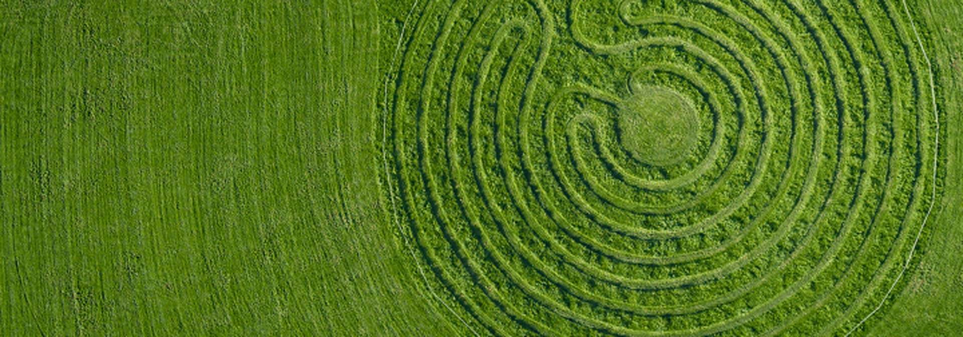 Labyrinth Weg zurück ins Leben